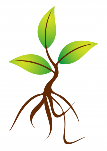 Stylized green sprout with brown roots symbolizing growth, sustainability, and new beginnings.