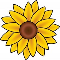 Sunflower Illustration - Vibrant Floral Graphic for Design & Education