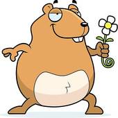 59 guinea pig clipart vector 