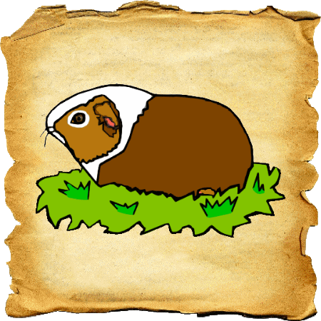 Guinea Pig Illustration - Cute Pet Art for Animal Lovers