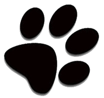 Black paw print icon with four toe pads and a large heel pad, isolated on white background.