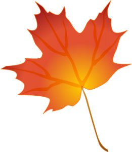 Vibrant orange and red maple leaf with detailed veins and stem, isolated on transparent background.