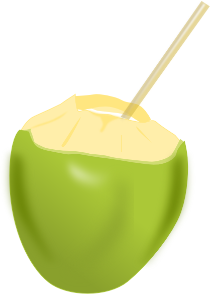 Coconut clipart png 