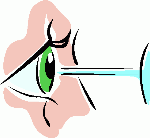 eye side view clipart