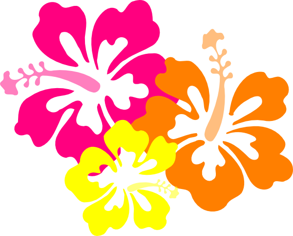 Vibrant pink, orange, and yellow hibiscus flowers in bold flat-color illustration style.