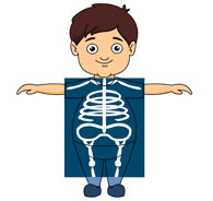 Human Skeleton for Kids - Interactive Anatomy Learning Guide