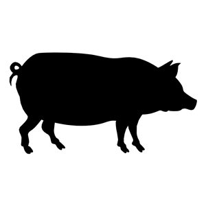free hog svg - Clip Art Library