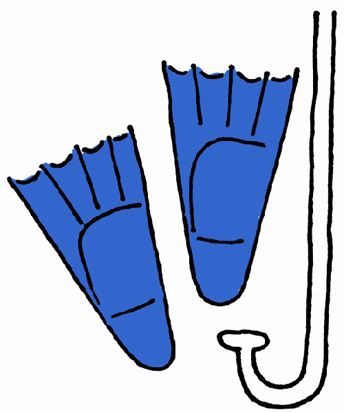 Blue swim fins and a snorkel tube illustrated in simple line art style.