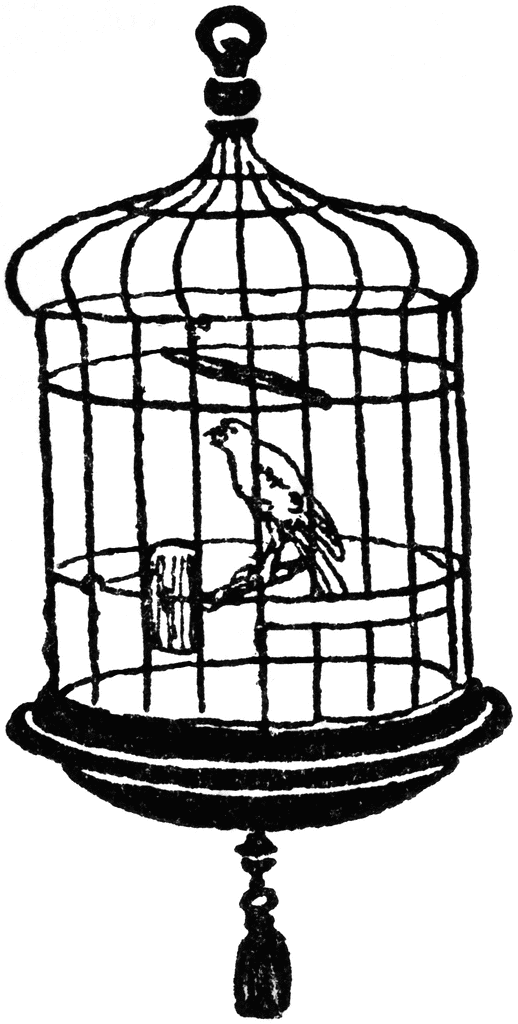 Bird Cage Clip Art 