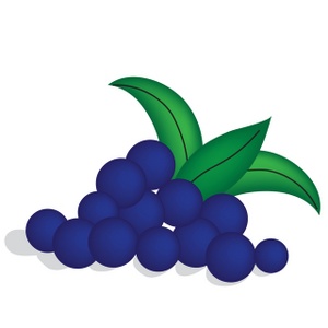 Blueberry Clipart Black And White 