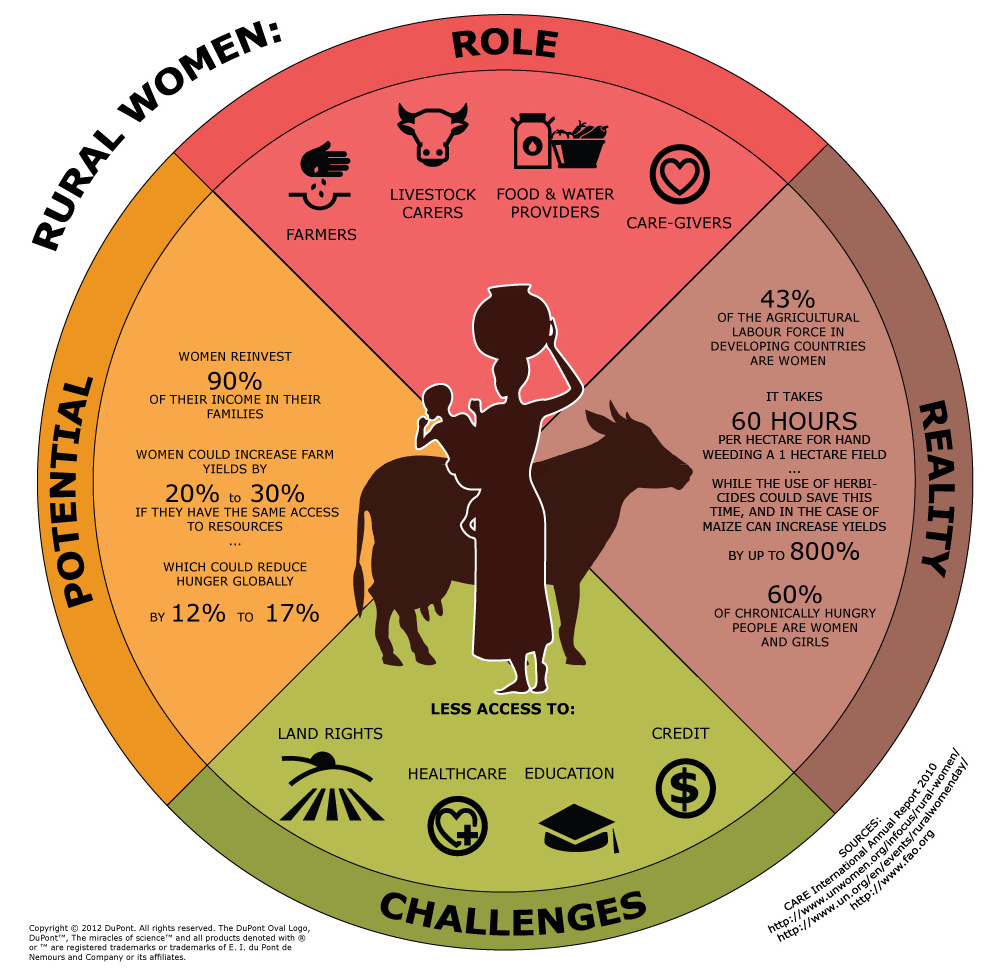 Infographic showing rural women's roles, potential, challenges, and reality in agriculture and development.