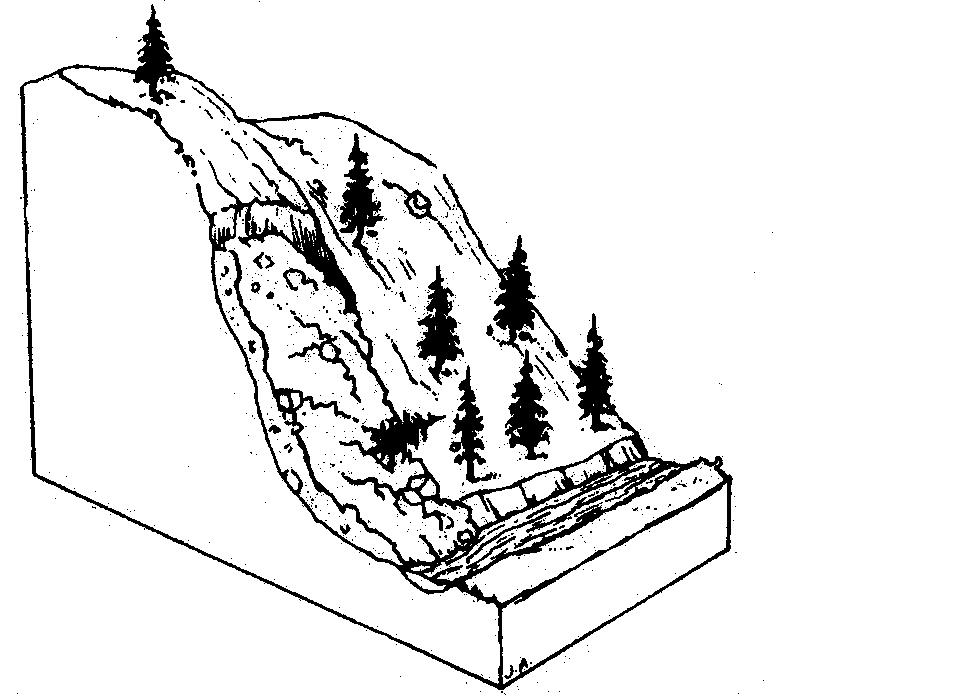 Landslides Types of Landslide 