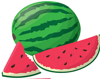 Of watermelon clip art for clipart cliparts for you 