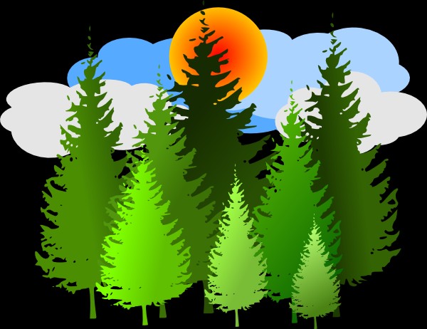 Vibrant green pine forest silhouetted against a bright orange sun and blue sky with fluffy white clouds.