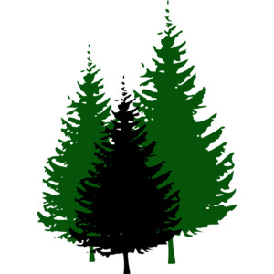 Three stylized coniferous trees in green and black silhouette against a white background.