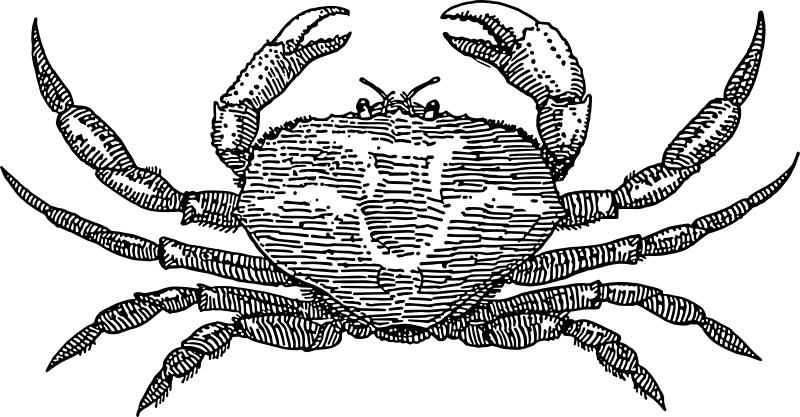 Blank image placeholder with no visible content.