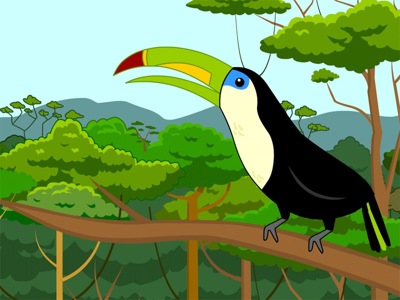 Toucan in Tropical Rainforest - Vibrant Bird Habitat & Ecology
