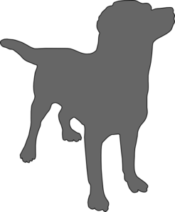 Grey Labrador Clip Art 