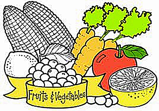 Net Carb Count / Fruits and Vegetables 