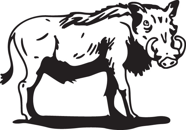 Warthog Graphic Mammal Art For Custom Gifts &, Products 