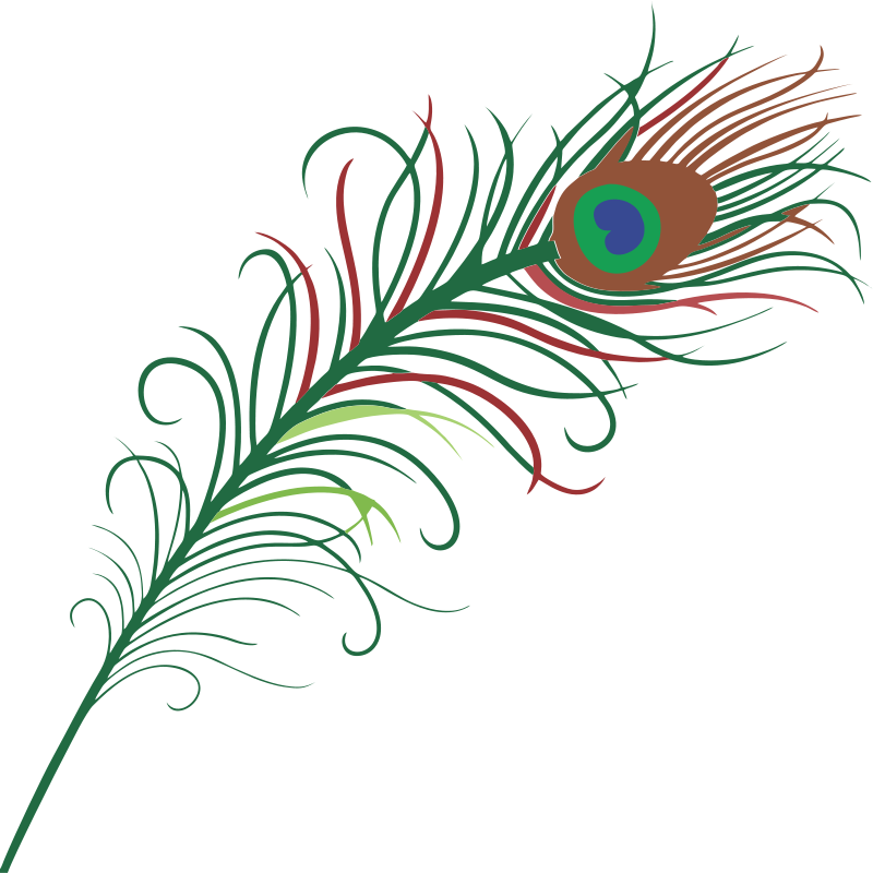 Peacock cliparts 