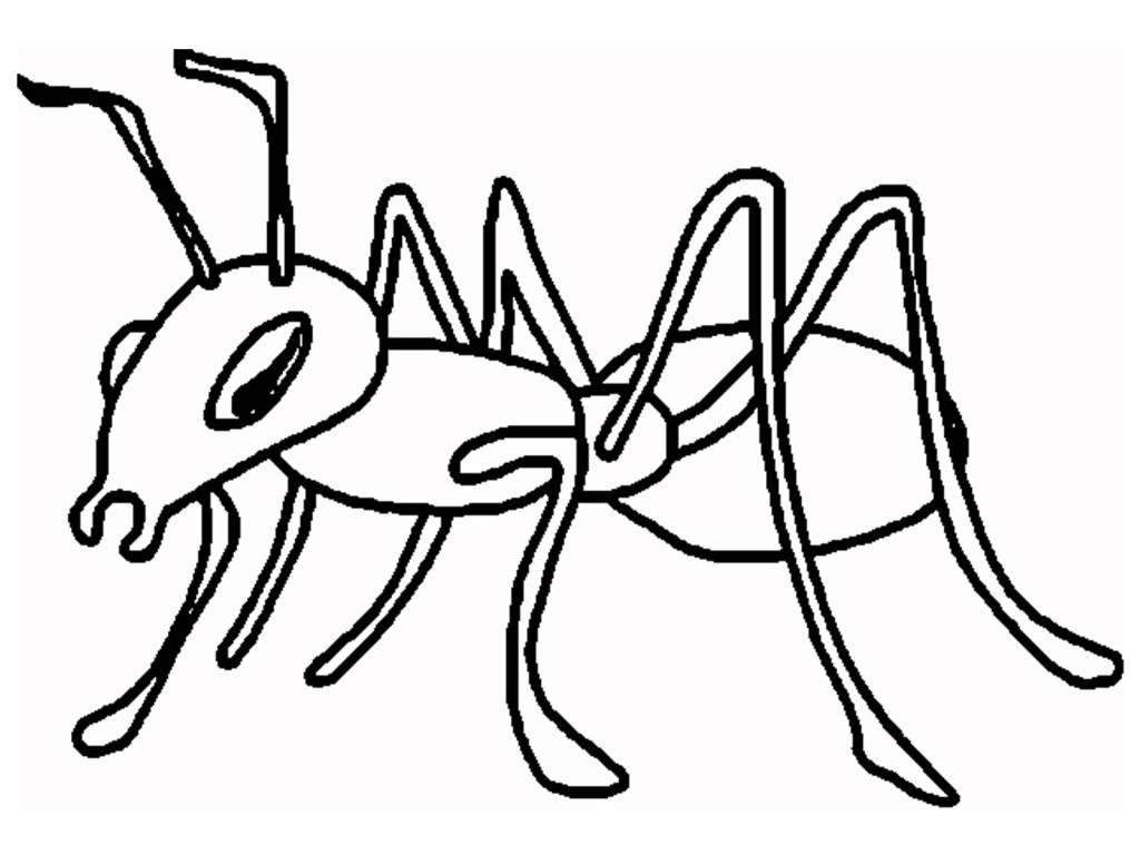 Ant Clipart Black And White 