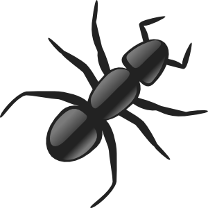 Ant Illustration - Free Vector Graphic for Educational and Design Use