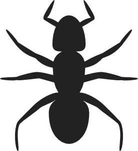 Black silhouette of an ant showing head, thorax, abdomen, six legs, and antennae on a white background.