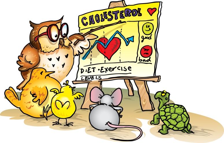 Understanding Cholesterol: Diet, Exercise, and Heart Health Explained