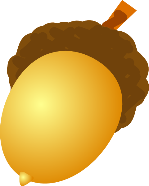 Golden acorn with brown cap and orange stem, stylized vector illustration.