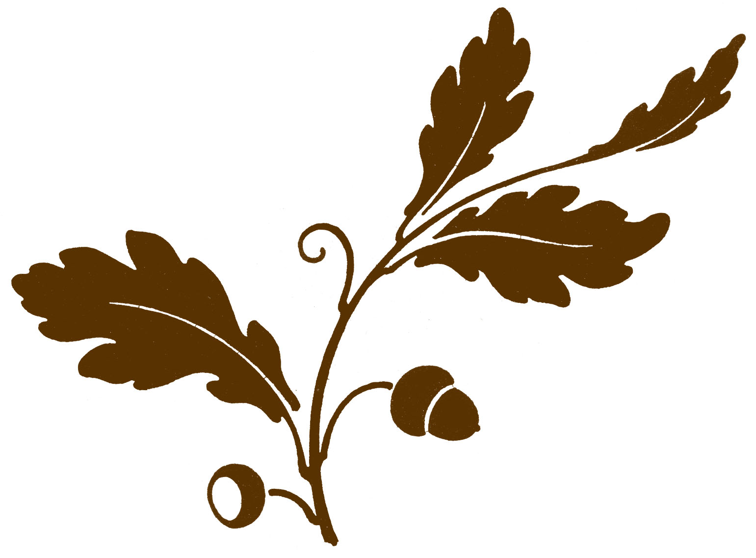 Acorn Border Clipart