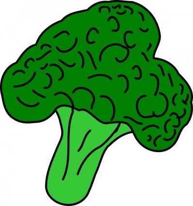 Green broccoli illustration with detailed florets and stalk, cartoon-style drawing on white background.