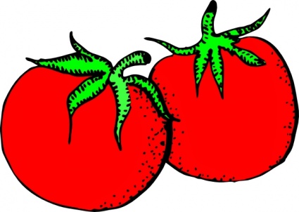 Two vibrant red illustrated tomatoes with green stems and leafy calyxes, hand-drawn style.