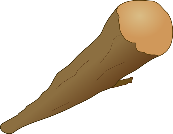 A cleanly cut wooden log with exposed light-colored inner wood and textured bark, angled diagonally on white background.