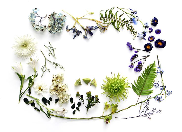 A circular floral arrangement of dried and fresh flowers, leaves, and ferns on a white background, forming a natural wreath.