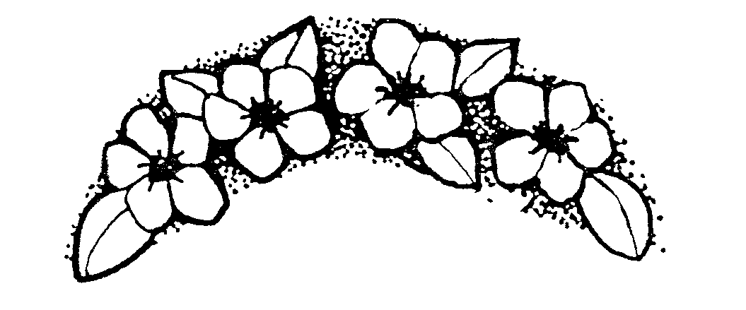 Funeral Program Clipart 