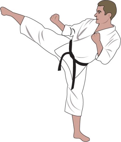 Martial artist in white gi executing a high side kick with black belt, demonstrating karate technique.