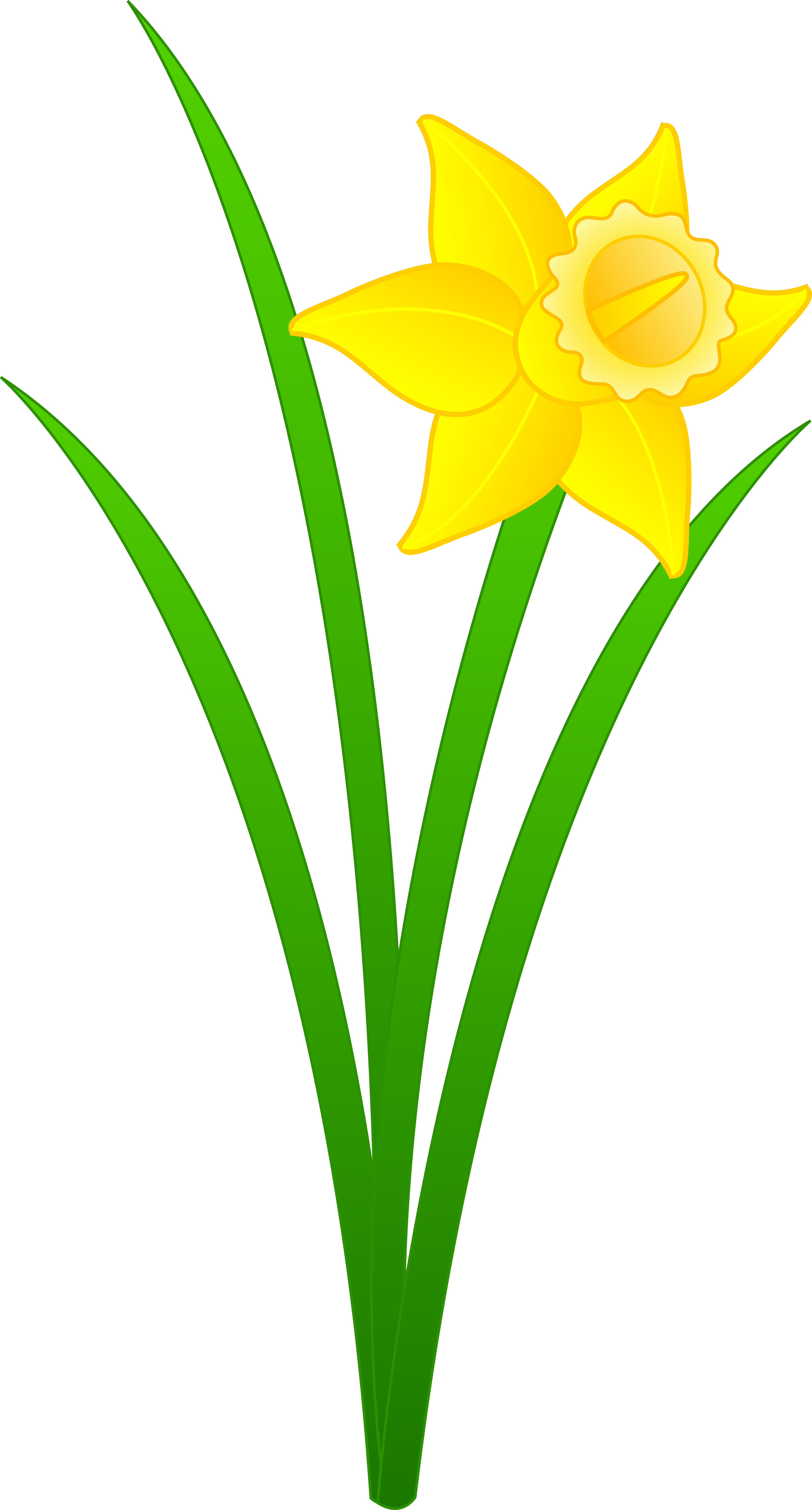 Free Jonquil Cliparts, Download Free Jonquil Cliparts png images, Free ...