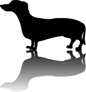 Black silhouette of a dachshund standing with a soft gray reflection on white background.