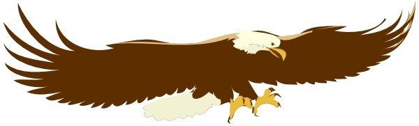 Majestic bald eagle in flight with outstretched wings and talons ready to strike, illustrated in bold brown and white tones.