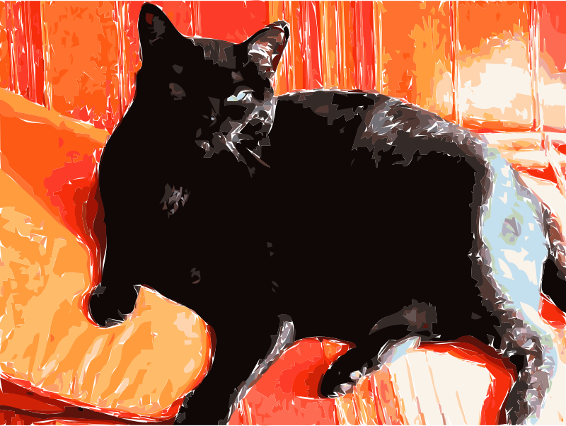 Black Cat Relaxing on Orange Cushion - Cozy Pet Photography