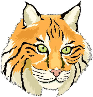 Lynx Face Illustration - Wildlife Art & Conservation Symbol