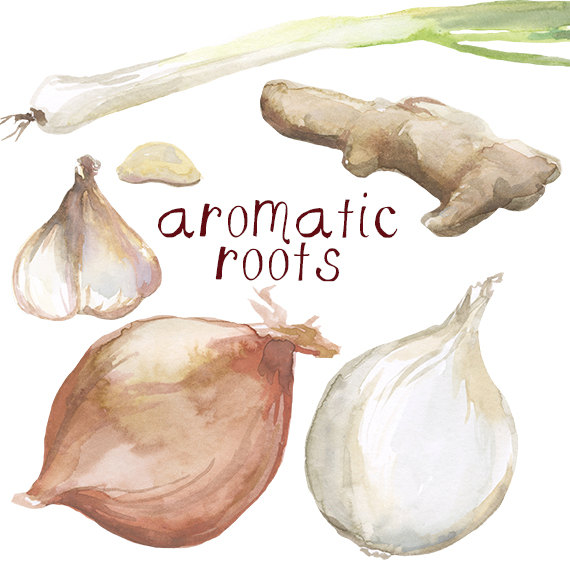 Watercolor Cooking Clip Art Garlic Onion by DigitalPressCreation 