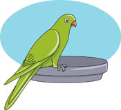 Green Parrot Illustration - Vibrant Bird Art for Pet and Nature Sites