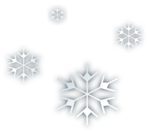 Snowflake Icon Set - Winter Design Elements for Web and Print