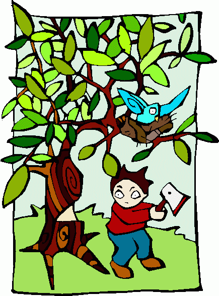 A boy in a red shirt holds an axe near a tree with a blue bird and squirrel in its branches.