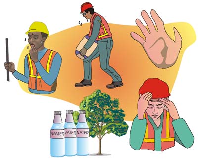 Illustration showing construction workers experiencing heat stress symptoms-sweating, dizziness, headache-and prevention measures like water and shade.