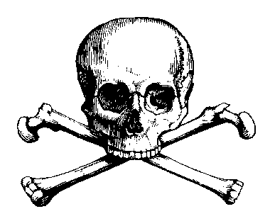 Classic black-and-white skull and crossbones symbol, hand-drawn with detailed shading and cross-hatched texture.
