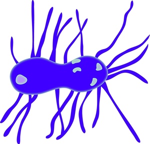 Blue cartoon-style bacterium with multiple flagella extending from its oval body, illustrating microbial structure.
