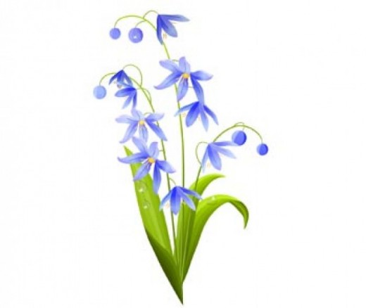 Blue Bell Flowers - Elegant Spring Blooms for Gardens & Design